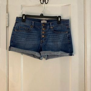 LOFT Outlet Button Zipper Midi Short